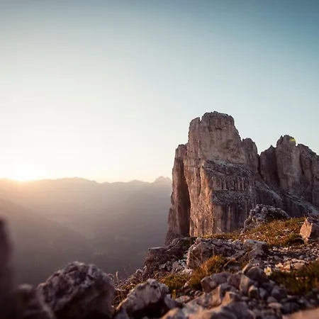 Haus Wulfenia 公寓 *